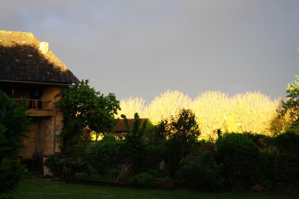 Bed and Breakfast La Maison De Louna Salles-Courbatiès Exterior foto